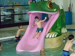 Pool Photos 036 - 717 Burks Branch Road, Shelbyville, KY 40065 502.633.5059